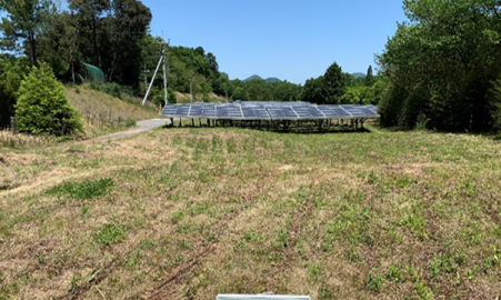 倉敷　岡山　除草作業　草刈り